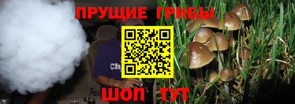 Псилоцибиновые грибы Psilocybine cubensis  Вход с VPN  Лесозаводск 